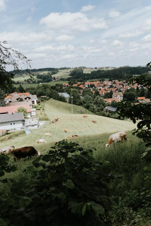 Ferienwohnung Alpenblick I Kamin I Private Sauna 반겐임알가우 외부 사진